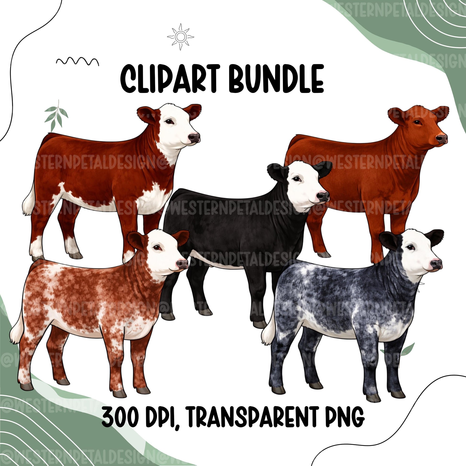 Show heifer clipart bundle with red white black blue roan and red roan cattle PNG files, transparent background livestock designs