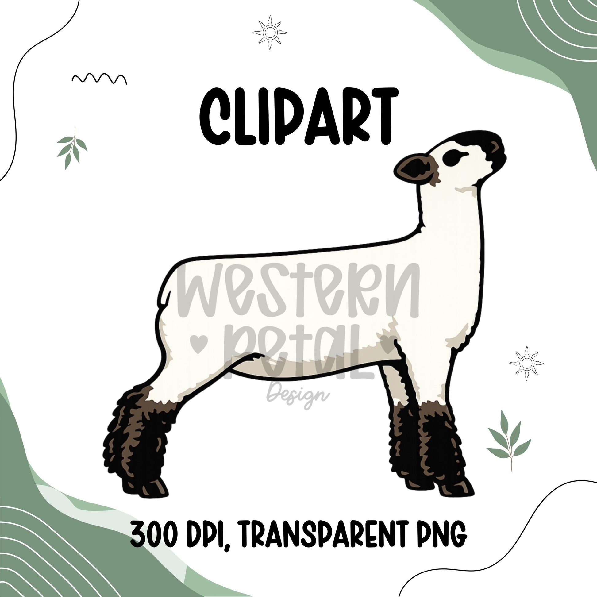 Show Sheep Clipart PNG | 4H Livestock Illustration | Farm Animal Graphic | Sublimation Design | Transparent Background