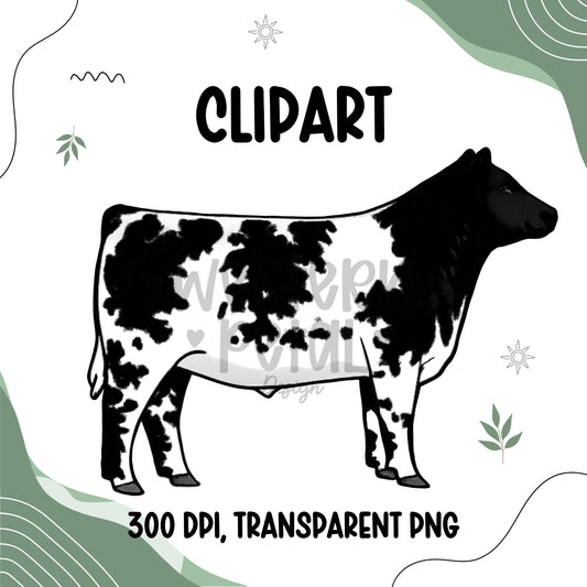 Shorthorn Steer Clipart PNG | 4H Livestock Illustration | Cattle Graphic | Sublimation Design | Transparent Background