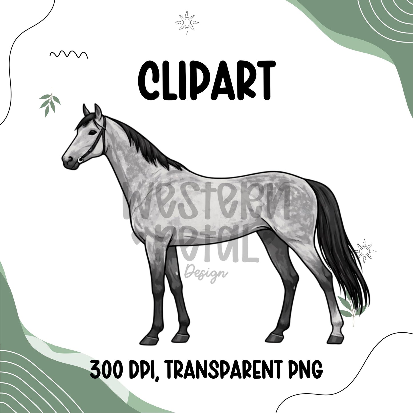 Western Horse Clipart Bundle, Equestrian PNG Graphics, Full Body Horses for Shirts, Stickers, Ranch, Farm, Western-Themed Digital Download