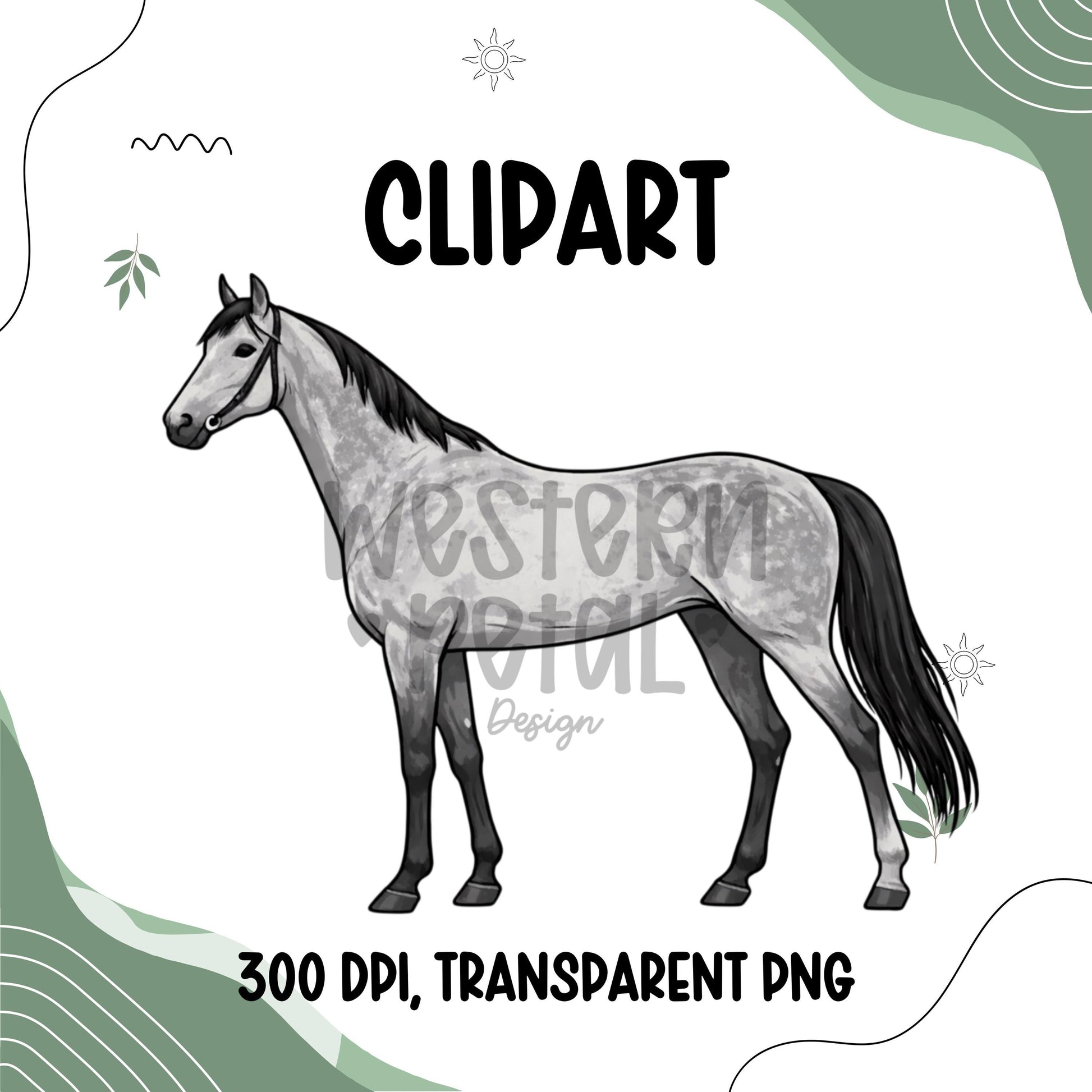 Western Horse Clipart Bundle, Equestrian PNG Graphics, Full Body Horses for Shirts, Stickers, Ranch, Farm, Western-Themed Digital Download
