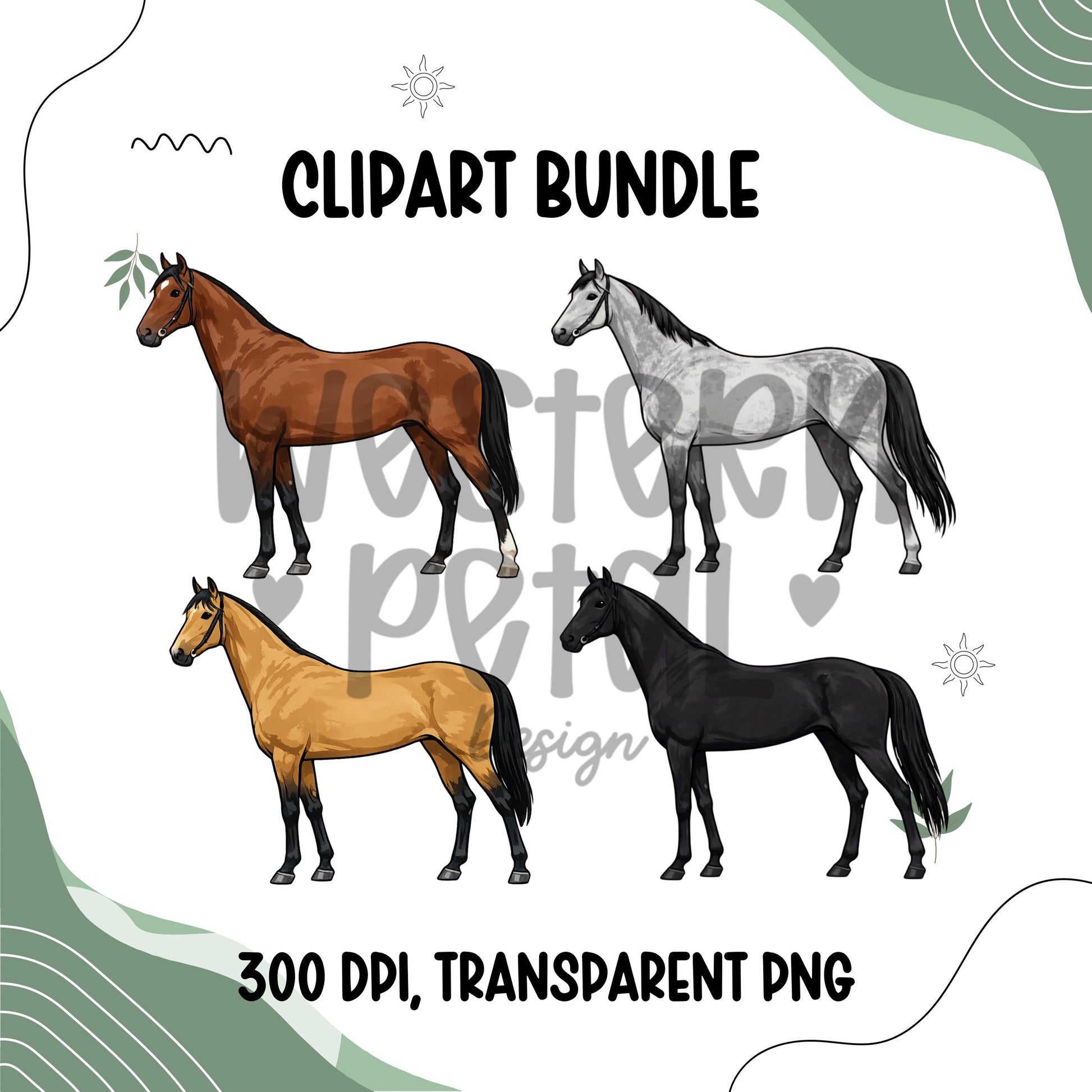 Full body horse clipart bundle featuring four western equestrian horse illustrations in different coat colors, transparent PNG files for farm and western designs