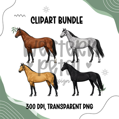 Full body horse clipart bundle featuring four western equestrian horse illustrations in different coat colors, transparent PNG files for farm and western designs