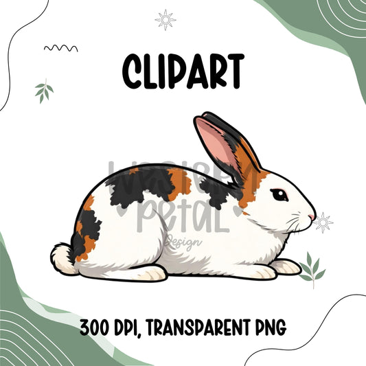 white spotted show rabbit clipart, farm animal bunny illustration with white markings, transparent PNG