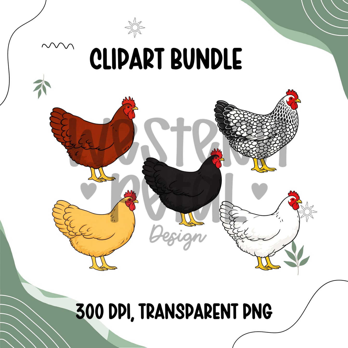 Chicken clipart bundle featuring five hand-drawn hen illustrations in different colors, farm animal poultry PNG files with transparent backgrounds for farmhouse and homestead designs