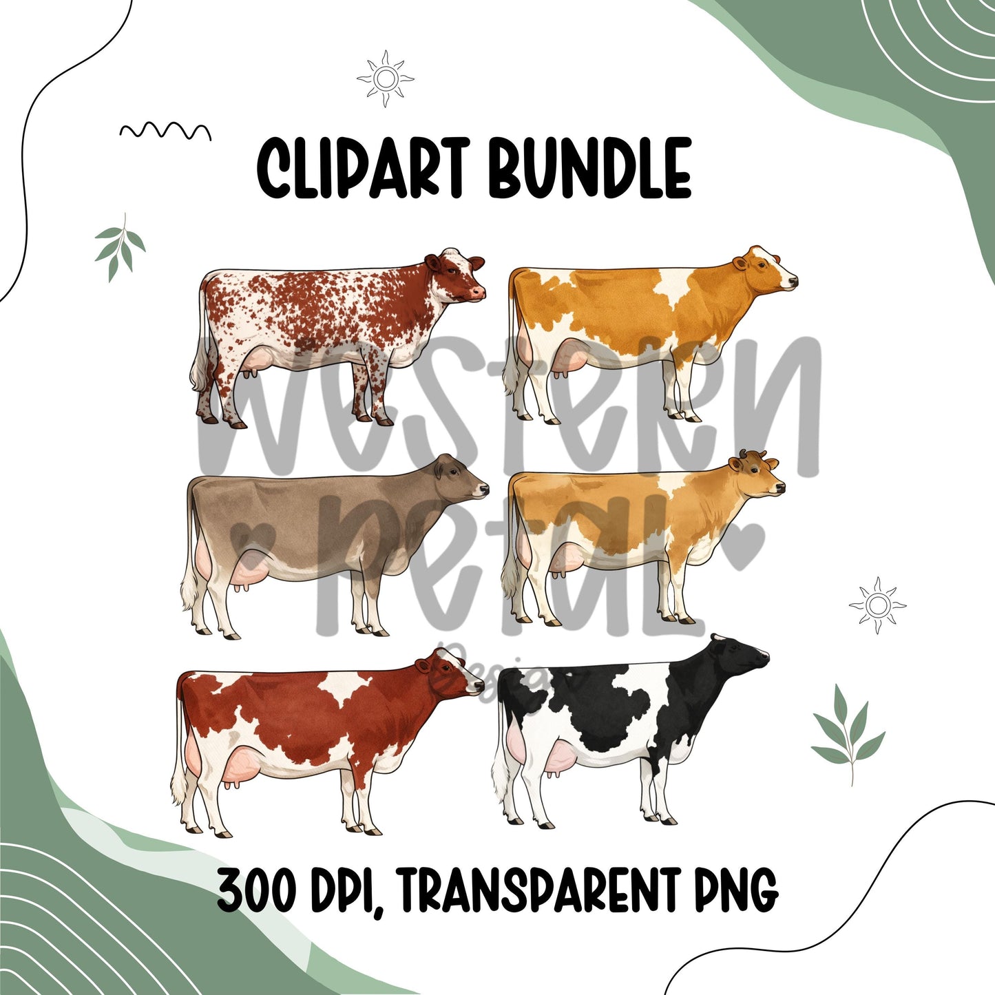 Dairy cow clipart bundle featuring six milking cow breed illustrations, farm animal livestock PNG files with transparent backgrounds for 4H, FFA, and farm designs