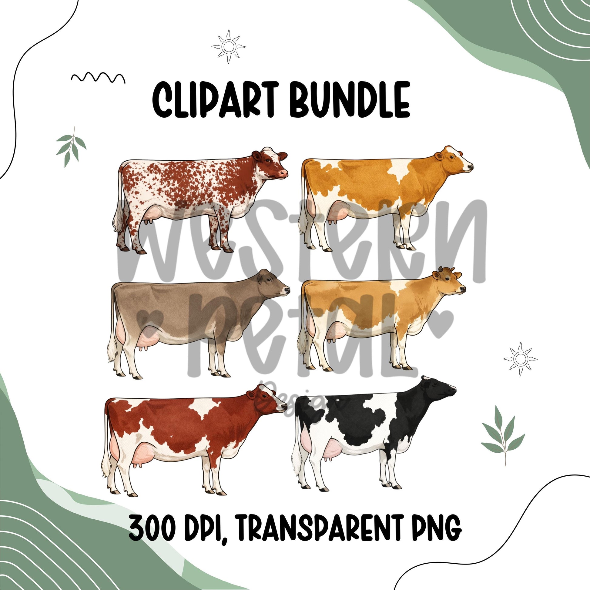 Dairy cow clipart bundle featuring six milking cow breed illustrations, farm animal livestock PNG files with transparent backgrounds for 4H, FFA, and farm designs