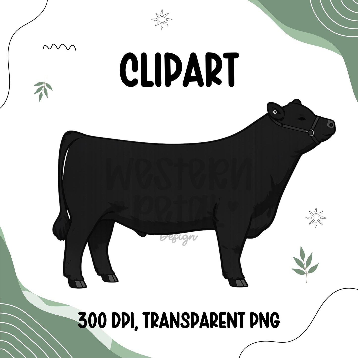 Show Steer Clipart Bundle, Farm Animal PNG Graphics (300 DPI Transparent)