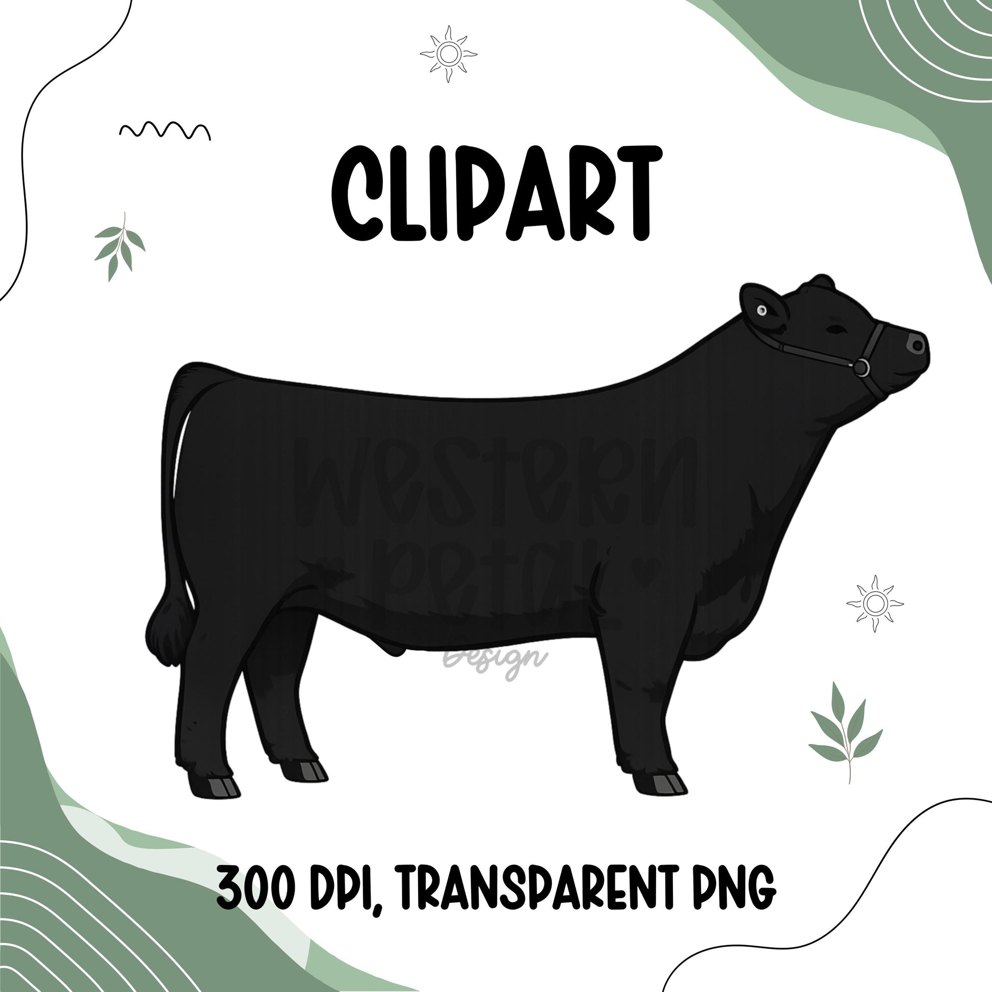 Show Steer Clipart Bundle, Farm Animal PNG Graphics (300 DPI Transparent)