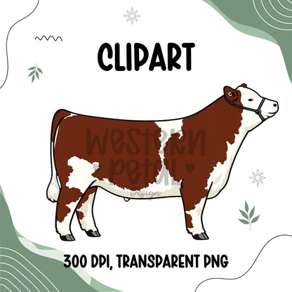 Show Steer Clipart Bundle, Farm Animal PNG Graphics (300 DPI Transparent)