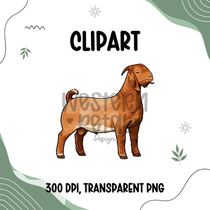 Boer Goat Clipart PNG | 4H Livestock Illustration | Show Goat Graphic | Sublimation Design | Transparent Background