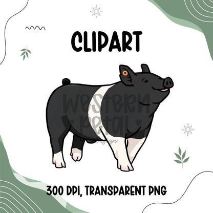 Show Pig Hampshire Clipart PNG | 4H Livestock Illustration | Swine Graphic | Sublimation Design | Transparent Background