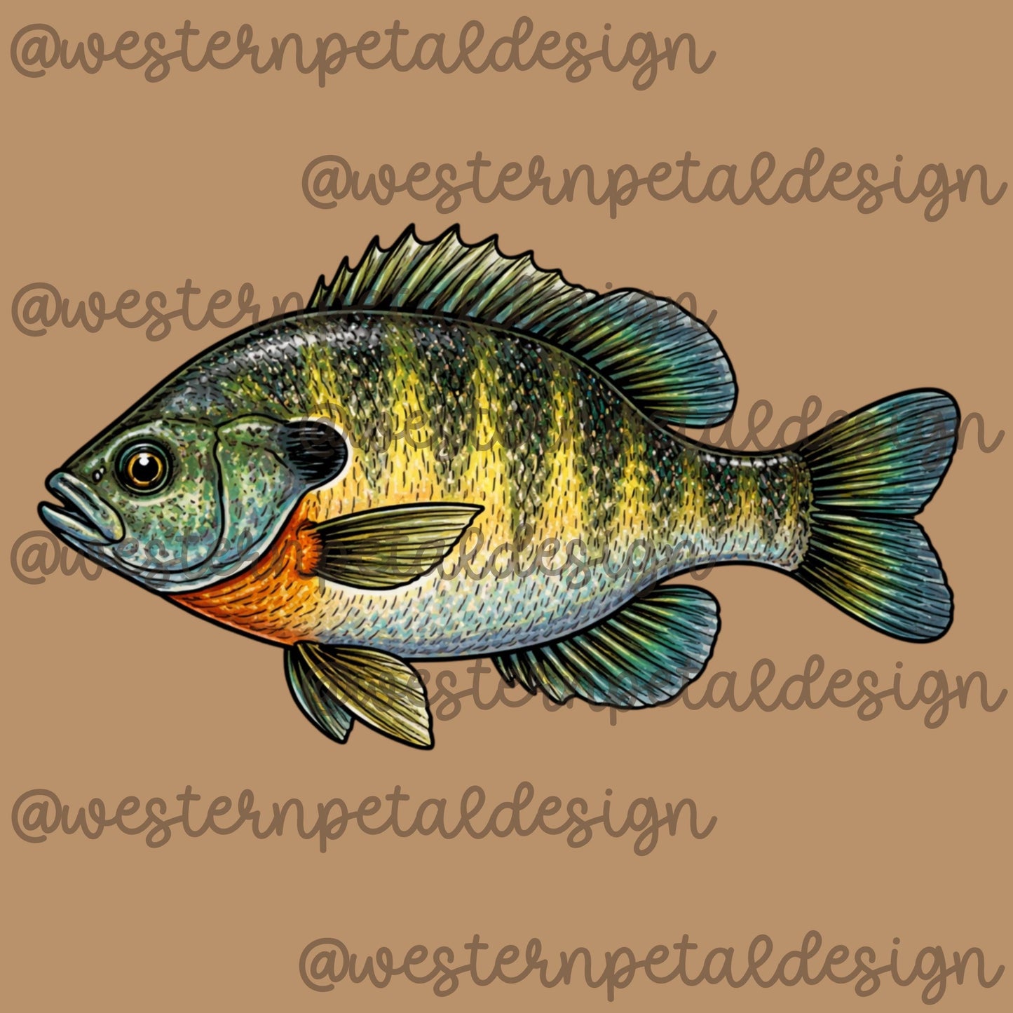 Bluegill Fish Clipart, Hand-Drawn Sunfish Illustration (300 DPI PNG)