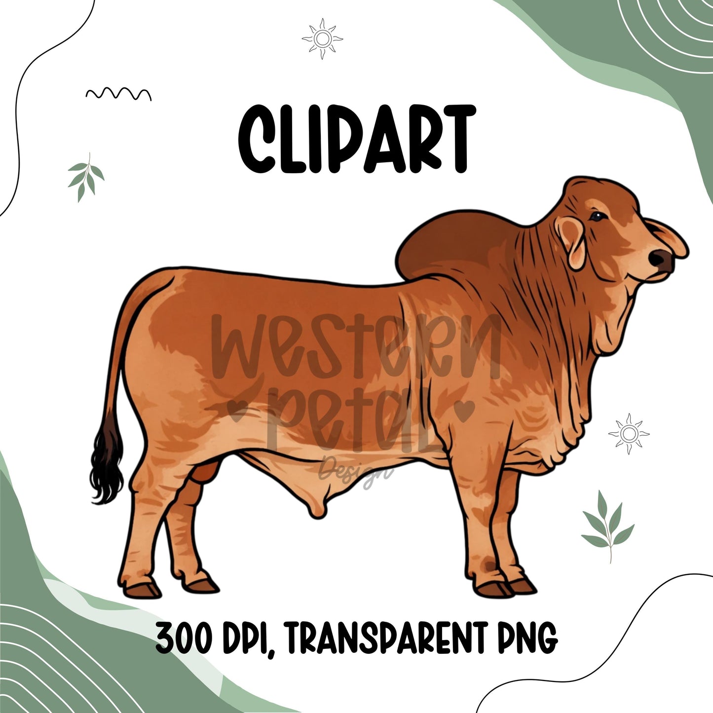 Brahman Bull Clipart PNG | Cattle Illustration | 300 DPI Transparent PNG