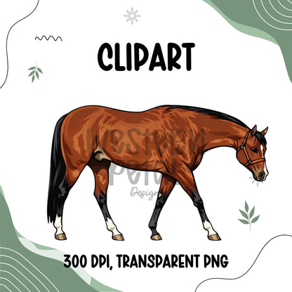 Bay Quarter Horse Clipart | Trotting Pose, Ranch Graphics (PNG Digital Download)