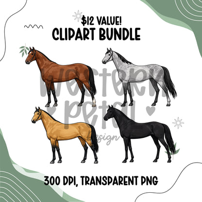 Western Horse Clipart Bundle, Equestrian PNG Graphics, Full Body Horses for Shirts, Stickers, Ranch, Farm, Western-Themed Digital Download