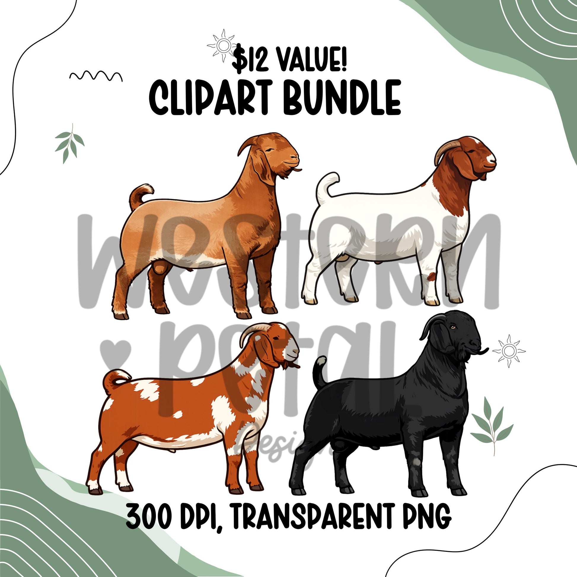 Show Goat Clipart PNG Bundle | 4H Livestock Illustration | Goat Graphics | Sublimation Design | Transparent Background