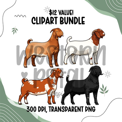 Show Goat Clipart PNG Bundle | 4H Livestock Illustration | Goat Graphics | Sublimation Design | Transparent Background