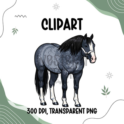 Quarter Horse Clipart Bundle | Western Illustration (PNG Digital Download)
