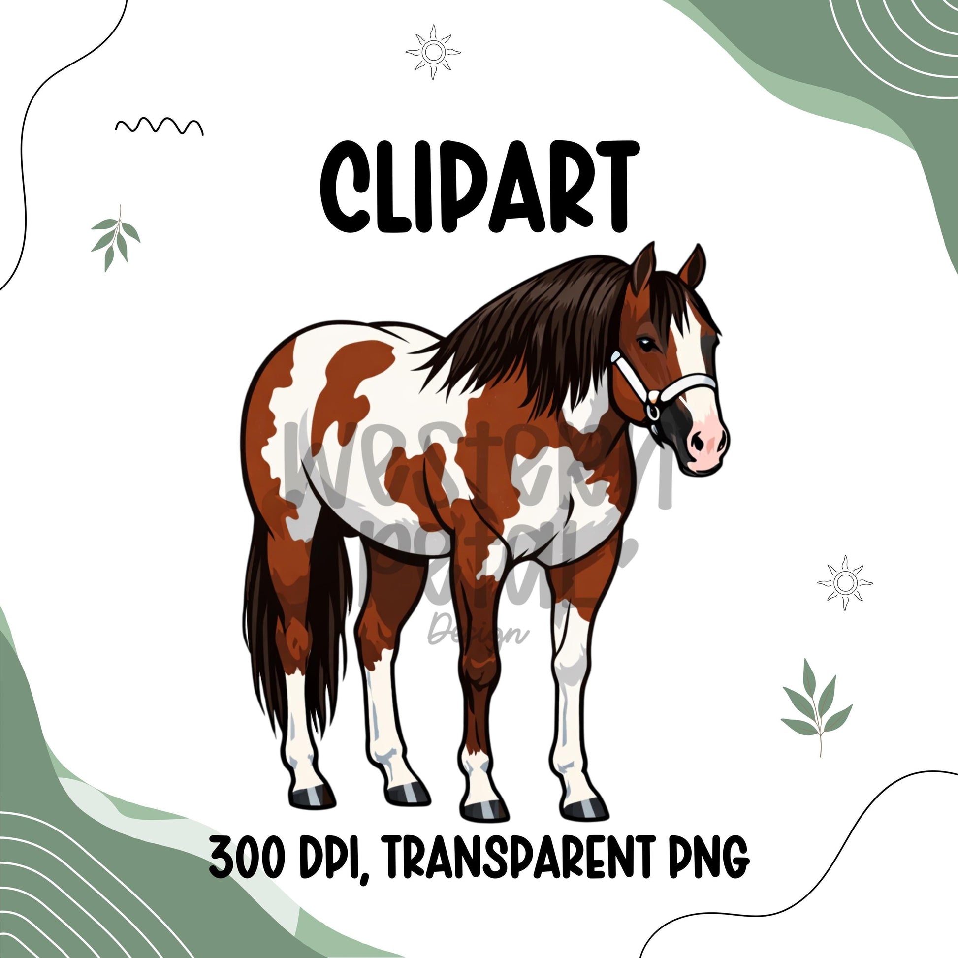 Quarter Horse Clipart Bundle | Western Illustration (PNG Digital Download)