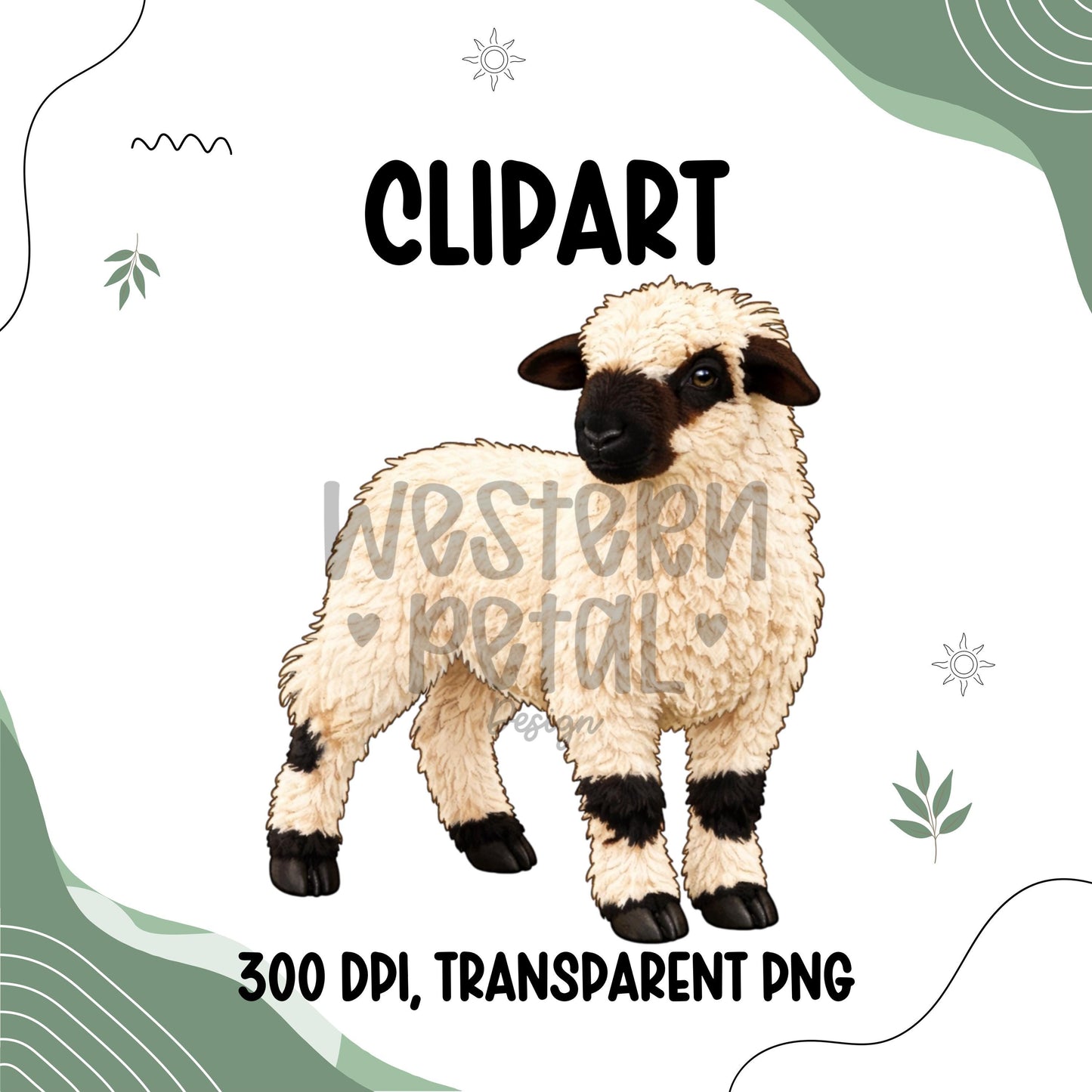Valais Blacknose sheep clipart with fluffy wool and black face, cute lamb illustration, transparent background digital download