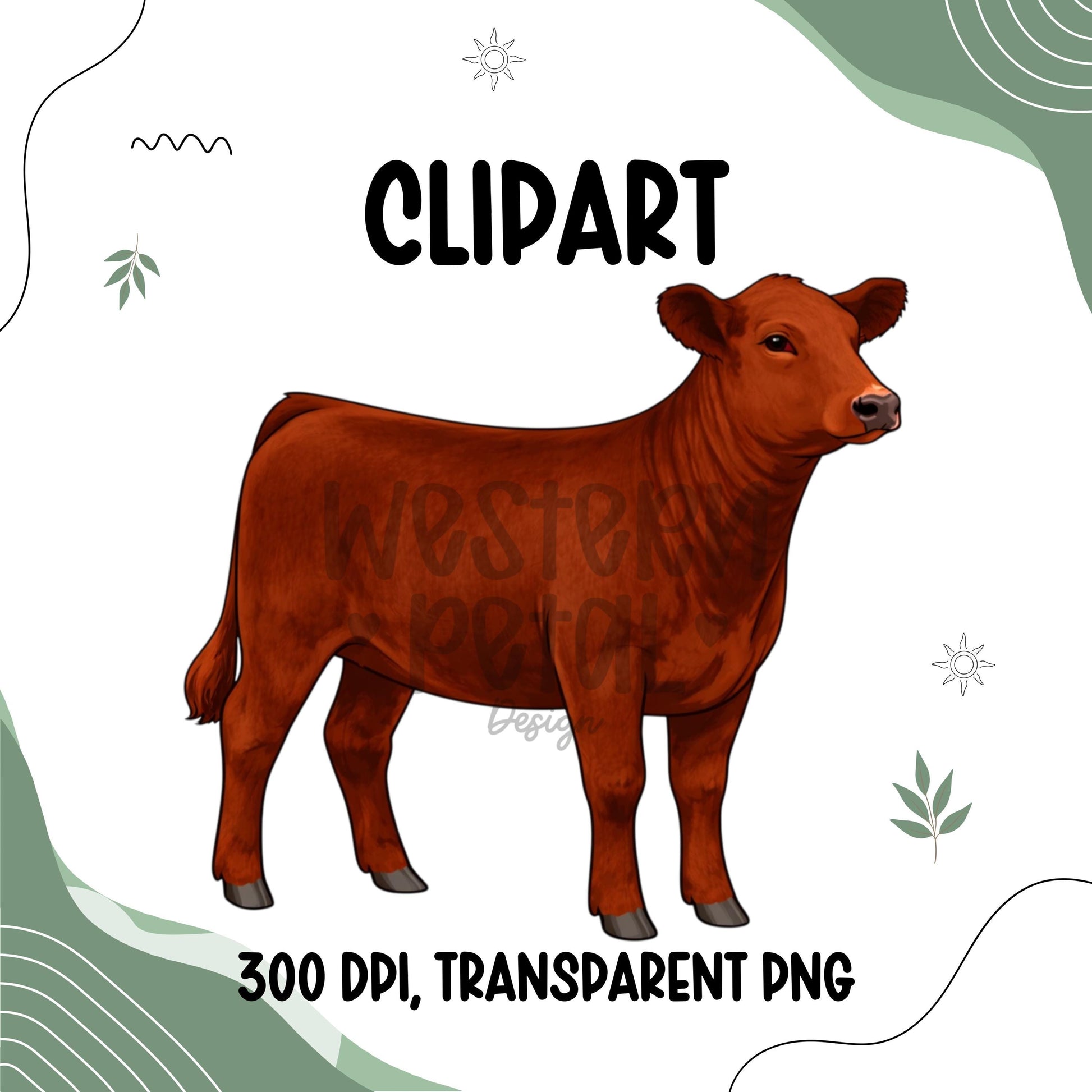 Show Heifer Clipart Bundle PNG | Cattle Color Variations | 4H Livestock Digital Download