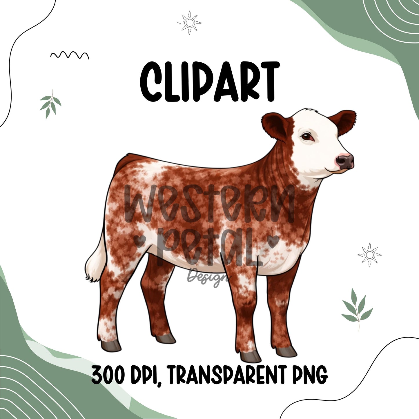 Show Heifer Clipart Bundle PNG | Cattle Color Variations | 4H Livestock Digital Download