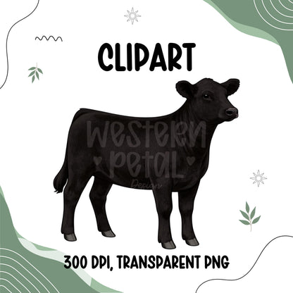 Show Heifer Clipart PNG | 4H Livestock Illustration | Cattle Graphic | Sublimation Design | Transparent Background