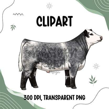 Show Steer Clipart, 4H FFA Livestock PNG (300 DPI Transparent Background)