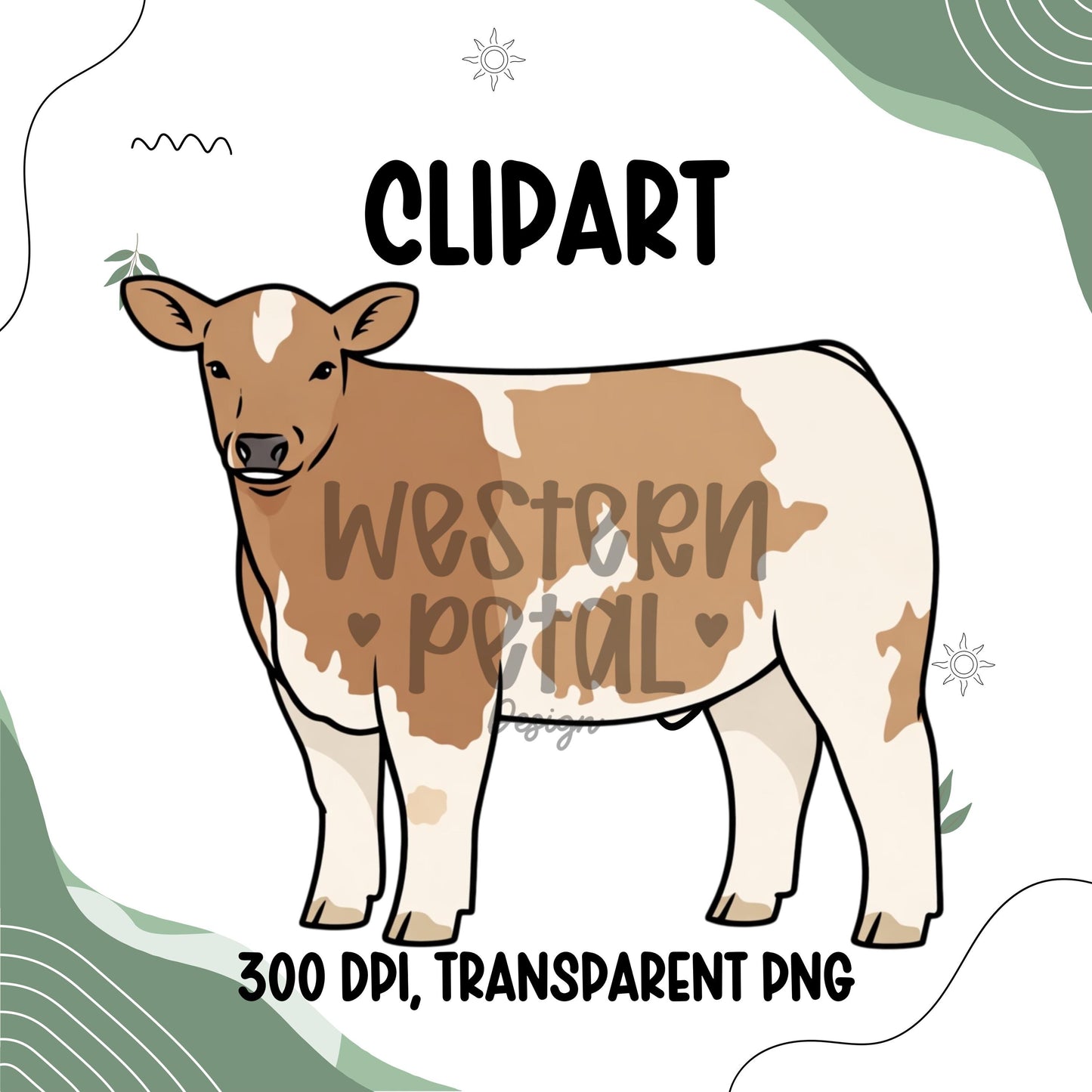 Show Steer Clipart, 4H FFA Livestock PNG (300 DPI Transparent Background)