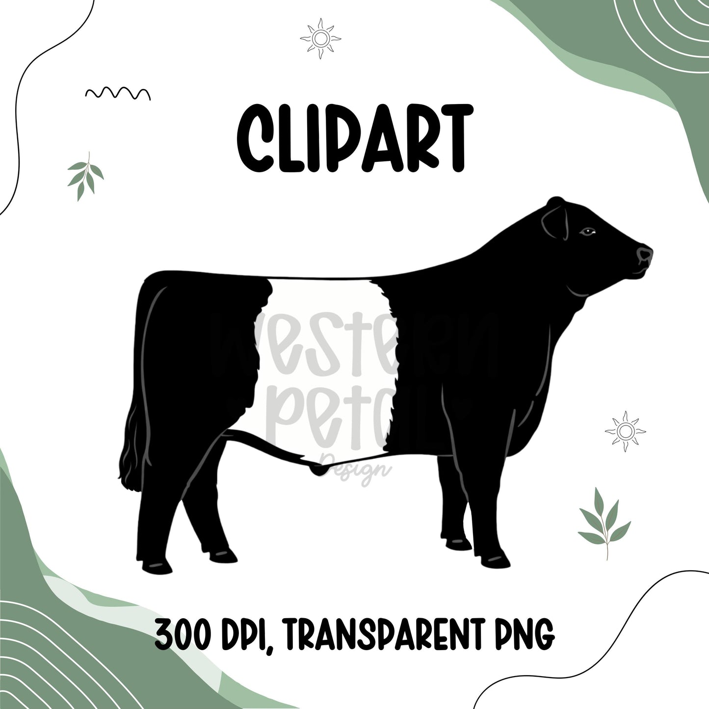 belted galloway clipart png black white belt cow 4h steer livestock illustration clean outline flat color design