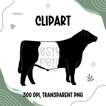 belted galloway clipart png black white belt cow 4h steer livestock illustration clean outline flat color design