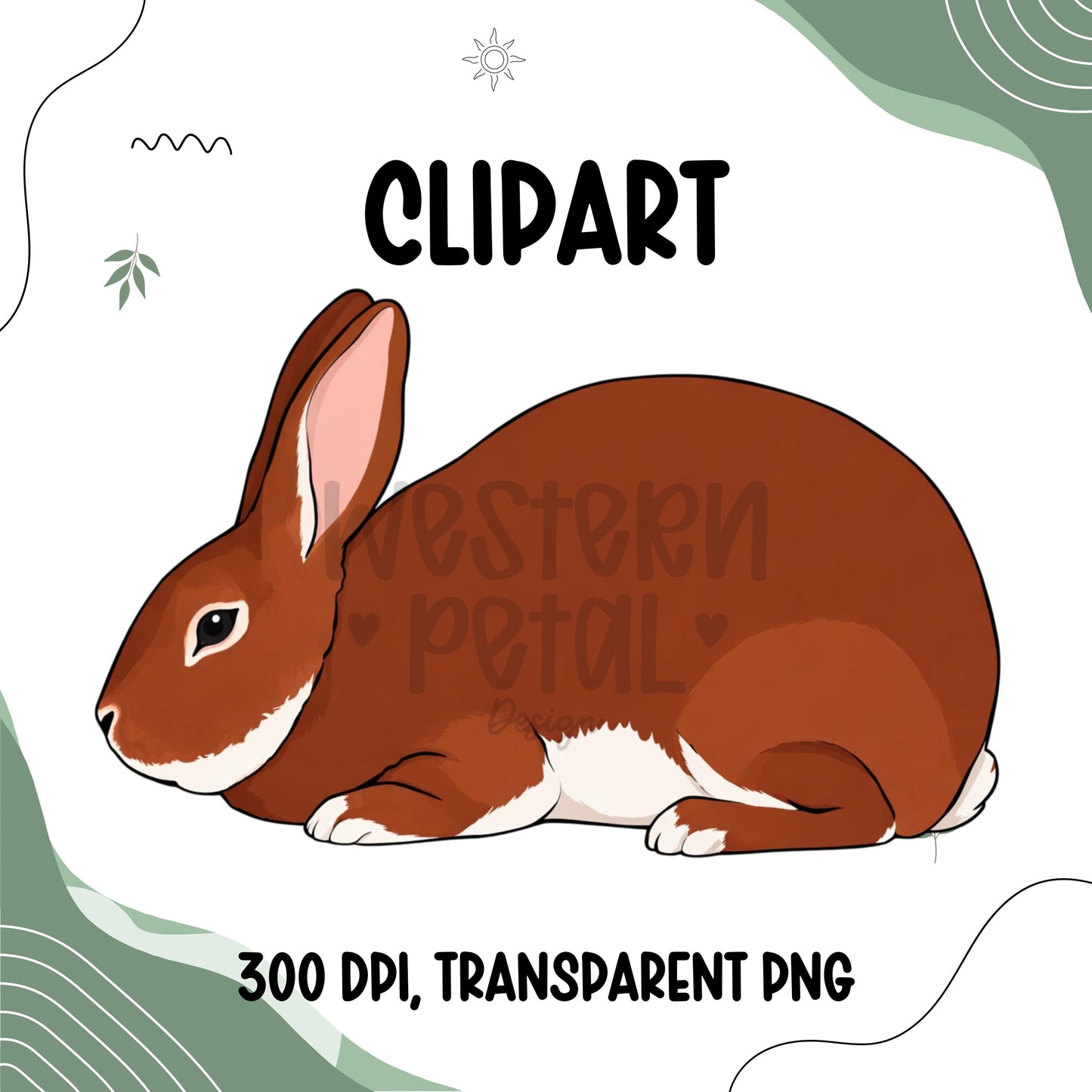 Show Bunny Clipart, Hand-Drawn Rabbit Illustration (PNG Digital Download)