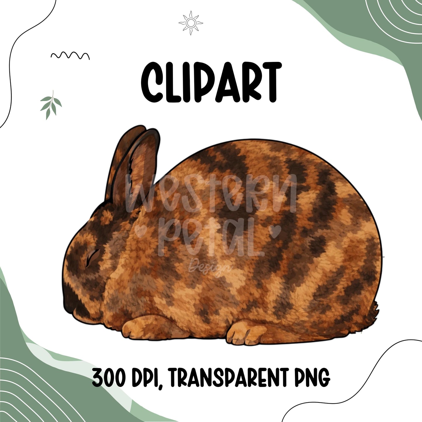 Show Bunny Clipart, Hand-Drawn Rabbit Illustration (PNG Digital Download)