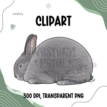 Show Bunny Clipart, Hand-Drawn Rabbit Illustration (PNG Digital Download)