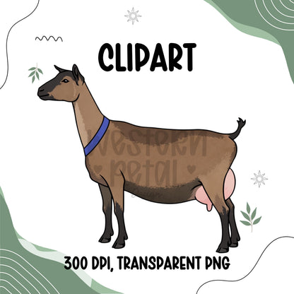 dairy goat clipart png 4h livestock show goat illustration clean outline flat color simple farm animal design