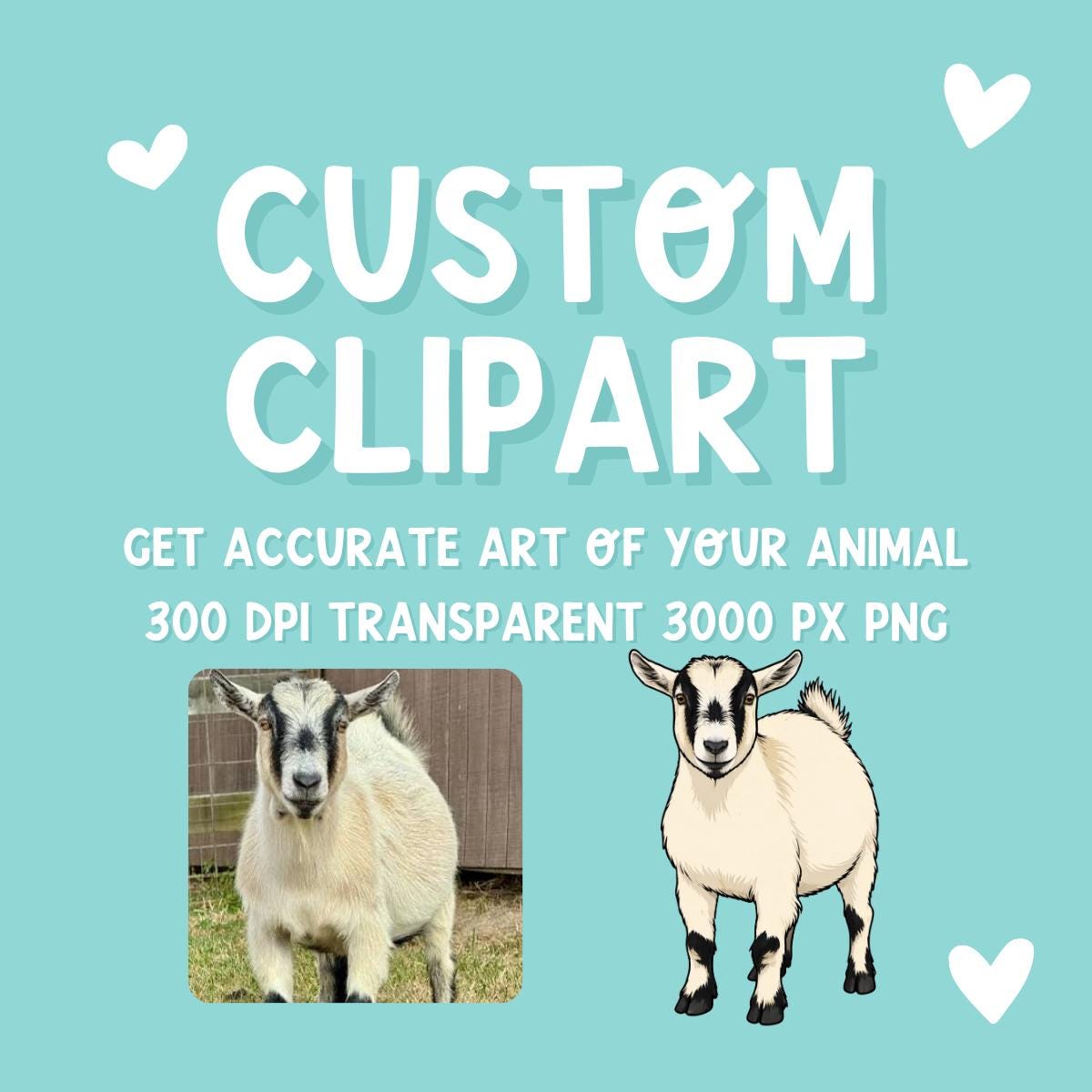 Custom Animal Clipart from Photo | Livestock Pet Drawing PNG | Personalized Cow Pig Goat Sheep Dog | 4H FFA Illustration
