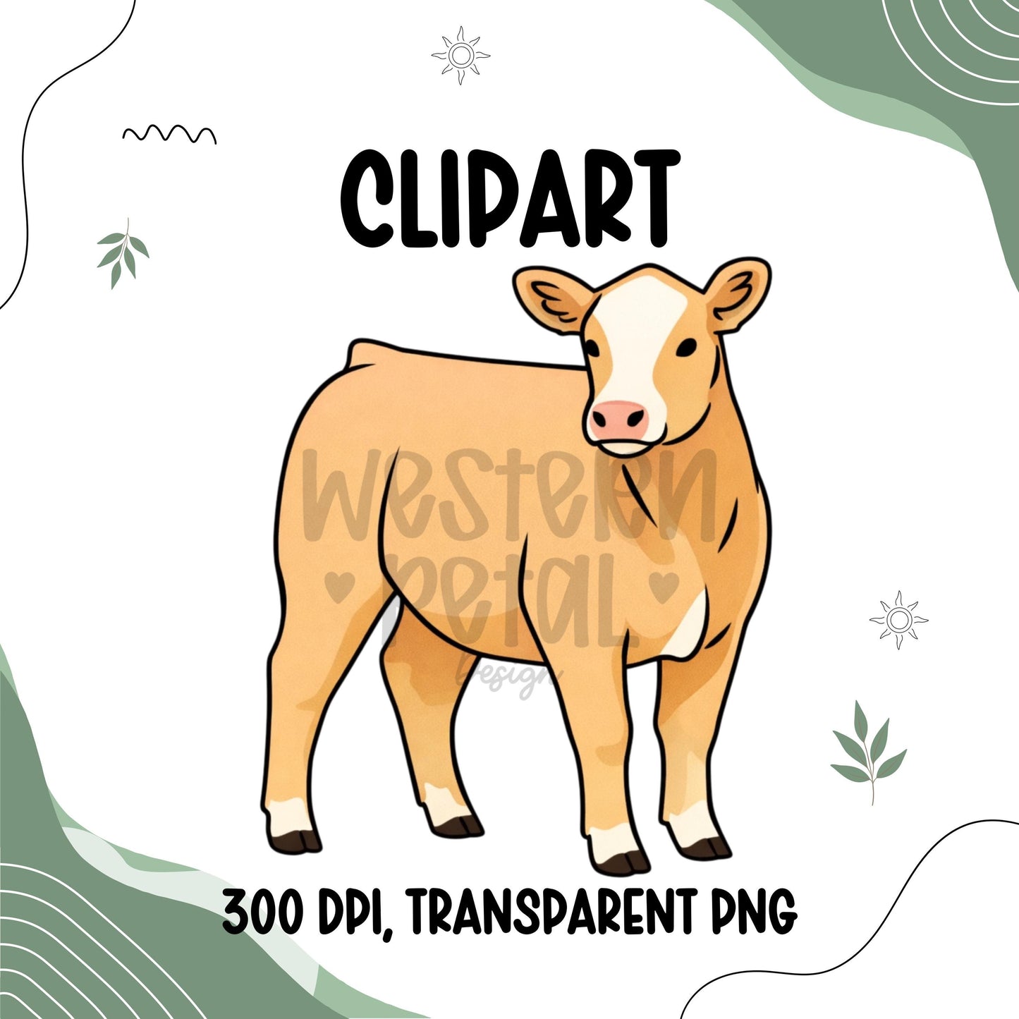 Show Heifer Clipart PNG | 4H Livestock Illustration | Cattle Graphic | Sublimation Design | Transparent Background