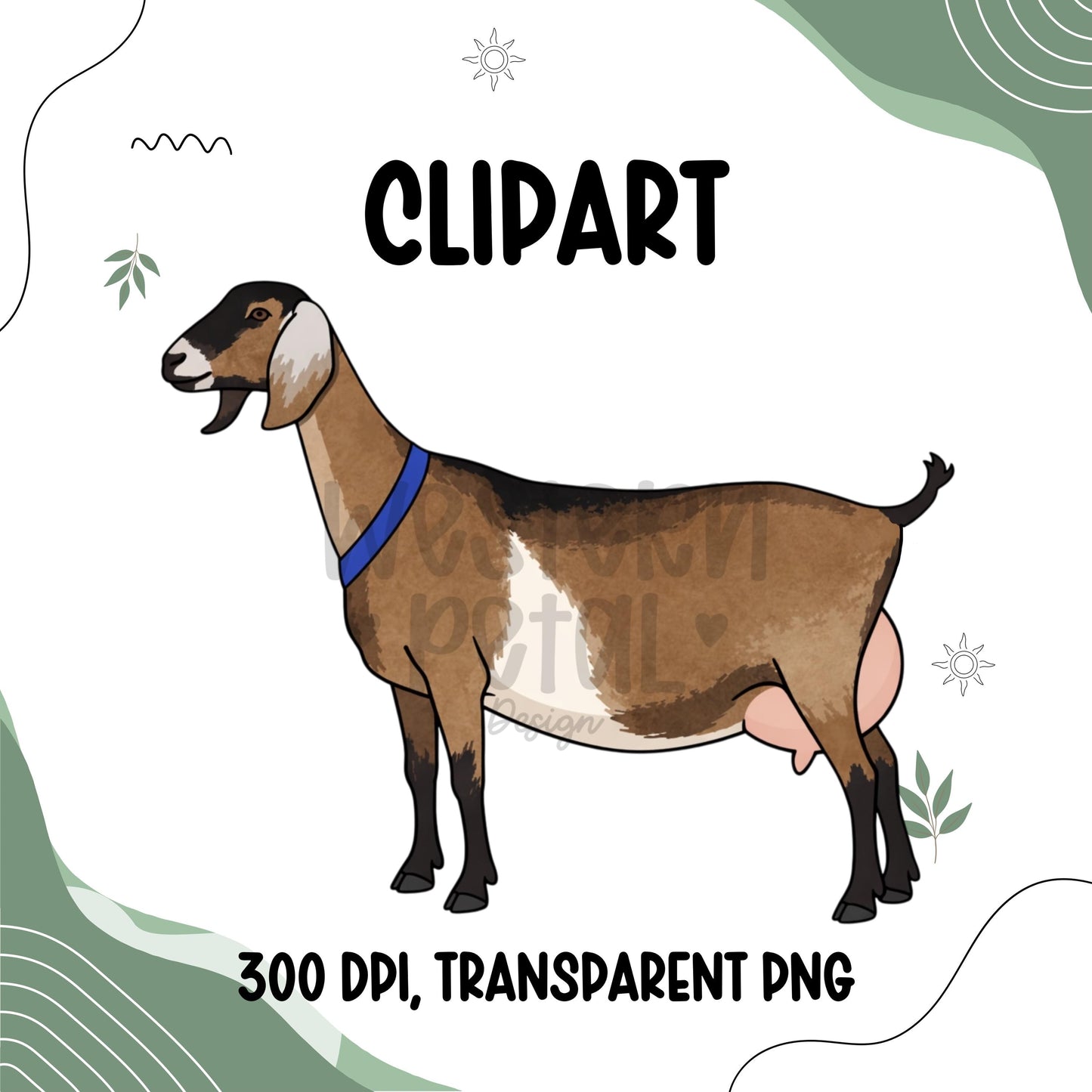 Dairy Goat Clipart PNG, 4H Goat Clipart, Show Goat Illustration, Dairy Goat PNG, Livestock Clipart, Commercial Use