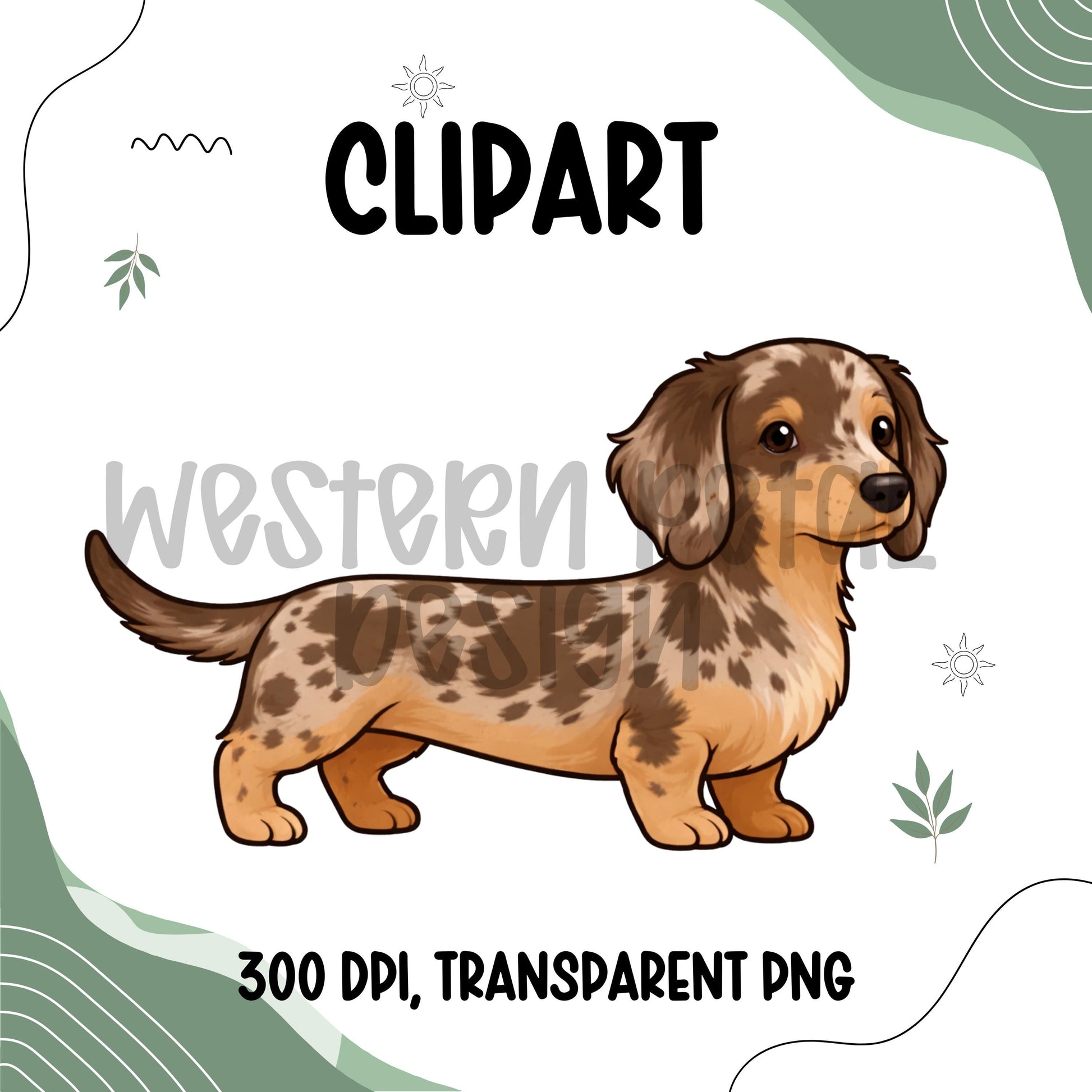 merle dachshund clipart, dapple dachshund png, cute dachshund illustration, dog clipart transparent background, pet clipart digital download