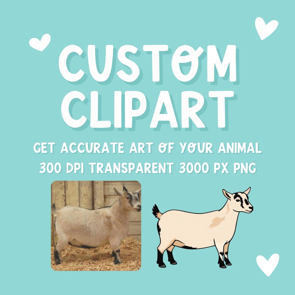 Custom Animal Clipart from Photo | Livestock Pet Drawing PNG | Personalized Cow Pig Goat Sheep Dog | 4H FFA Illustration