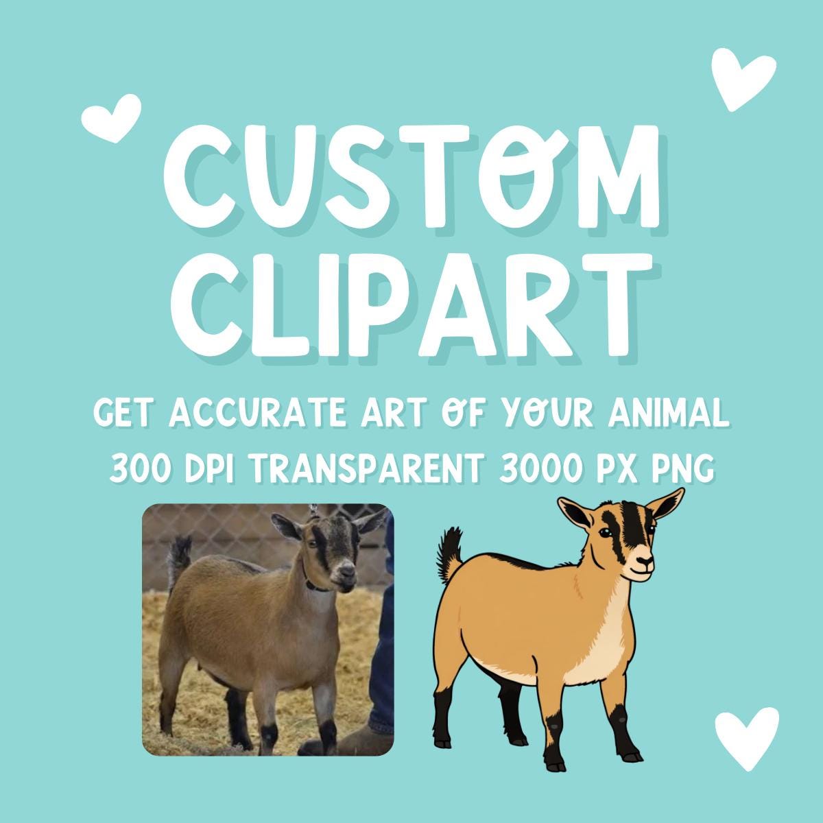 Custom Animal Clipart from Photo | Livestock Pet Drawing PNG | Personalized Cow Pig Goat Sheep Dog | 4H FFA Illustration