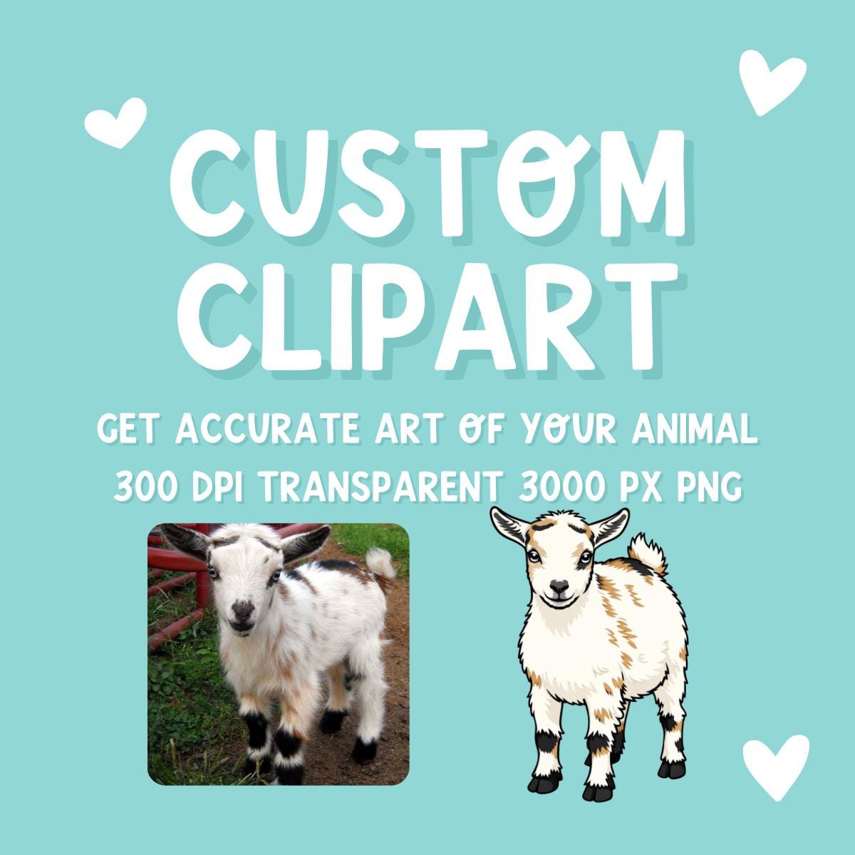 Custom Animal Clipart from Photo | Livestock Pet Drawing PNG | Personalized Cow Pig Goat Sheep Dog | 4H FFA Illustration