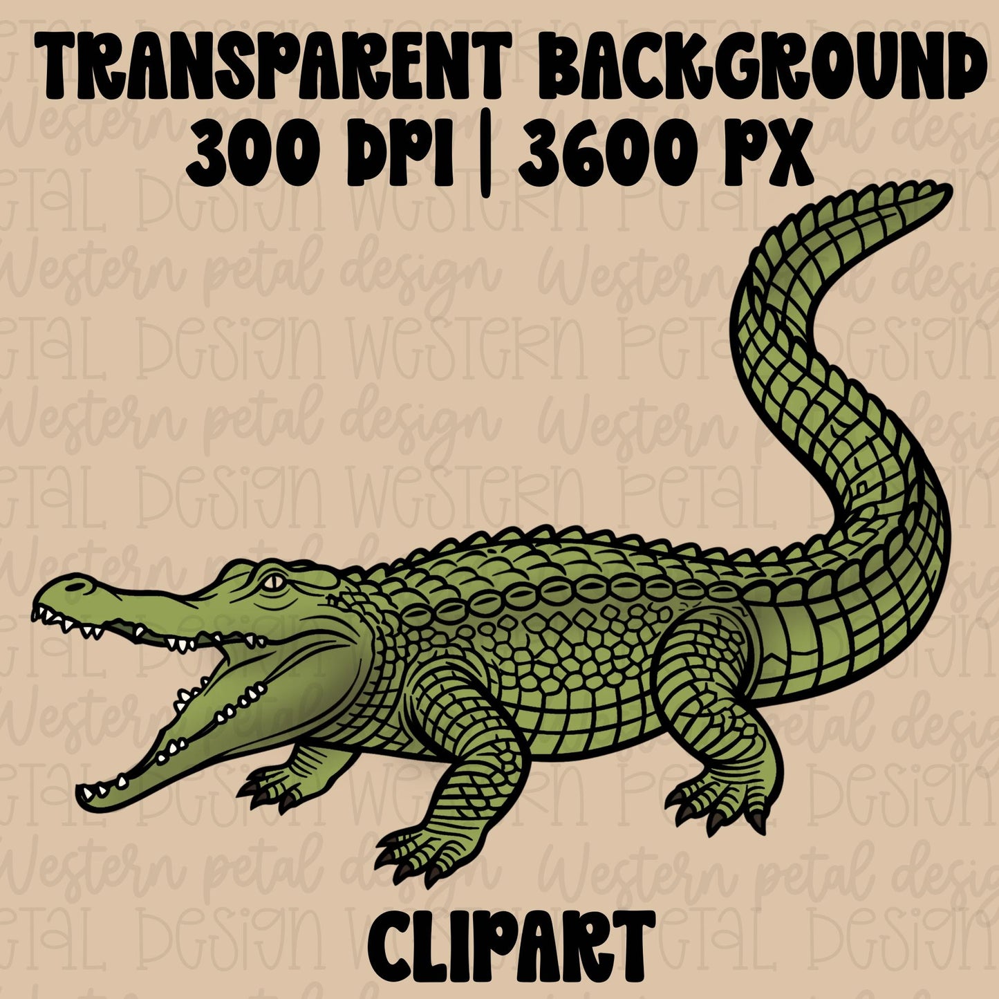 Hand drawn western style alligator clipart with bold outlines and flat green colors on a rustic tan background.