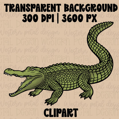 Hand drawn western style alligator clipart with bold outlines and flat green colors on a rustic tan background.