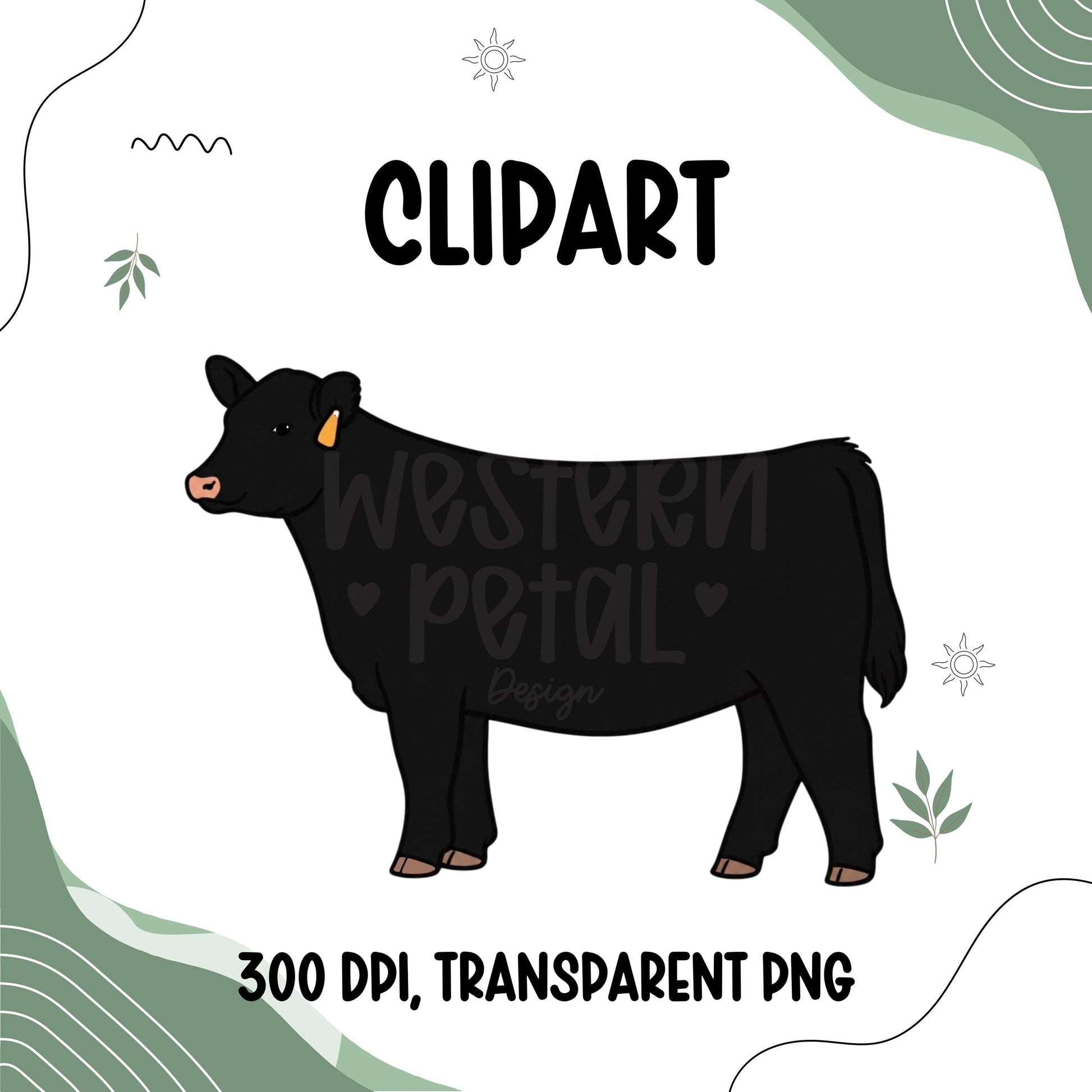 Black Angus heifer clipart in a clean hand-drawn style with black coat, ear tag, and transparent background PNG for livestock and farm-themed designs.