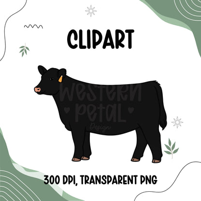 Black Angus heifer clipart in a clean hand-drawn style with black coat, ear tag, and transparent background PNG for livestock and farm-themed designs.