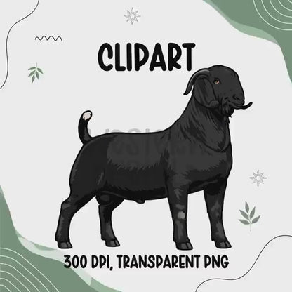 Black Goat Clipart PNG | 4H Livestock Illustration | Farm Animal Graphic | Sublimation Design | Transparent Background