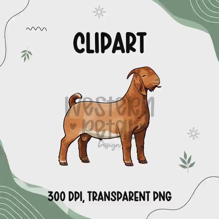 Boer Goat Clipart PNG | 4H Livestock Illustration | Show Goat Graphic | Sublimation Design | Transparent Background