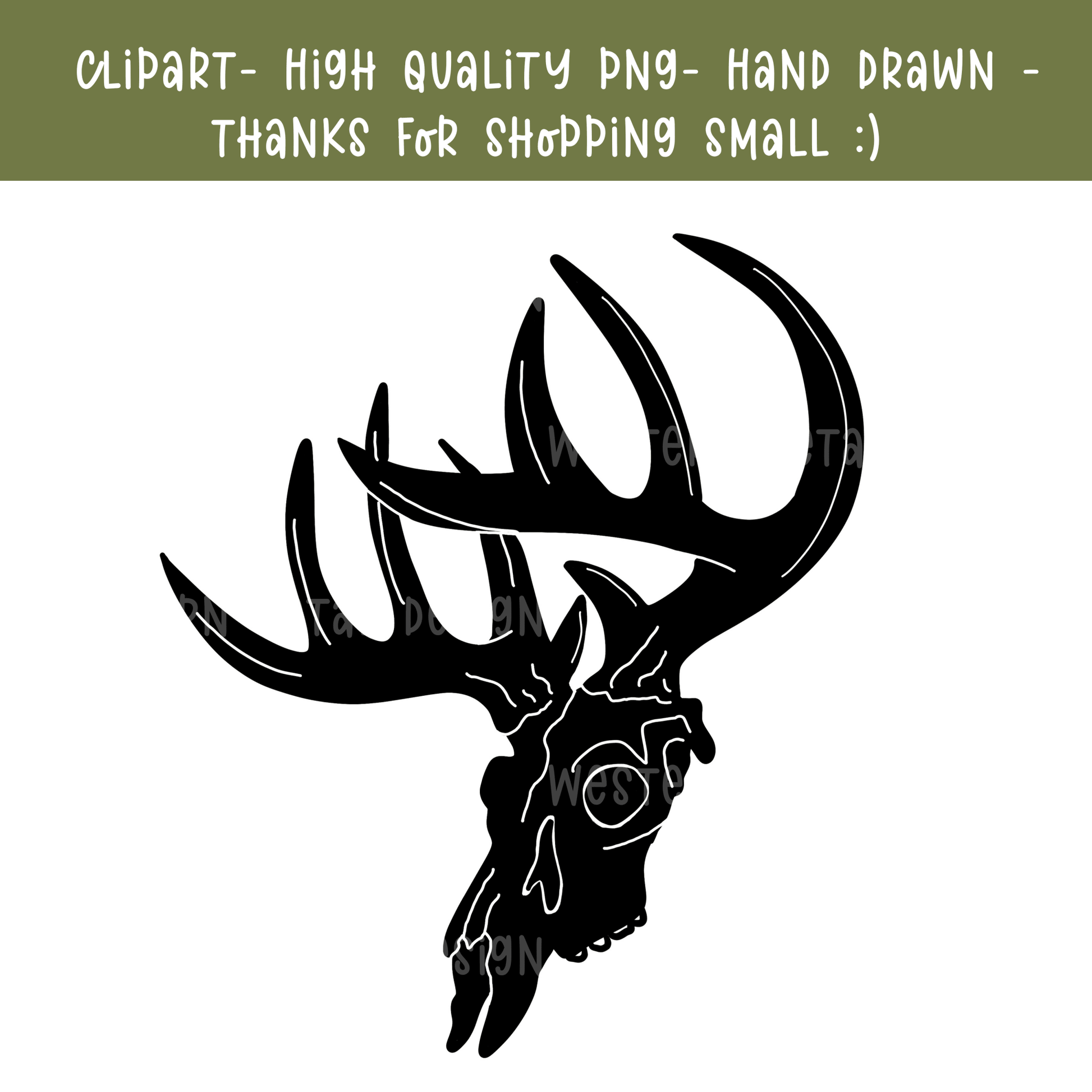 Whitetail deer skull antler clipart | Hand drawn - Western Petal Design